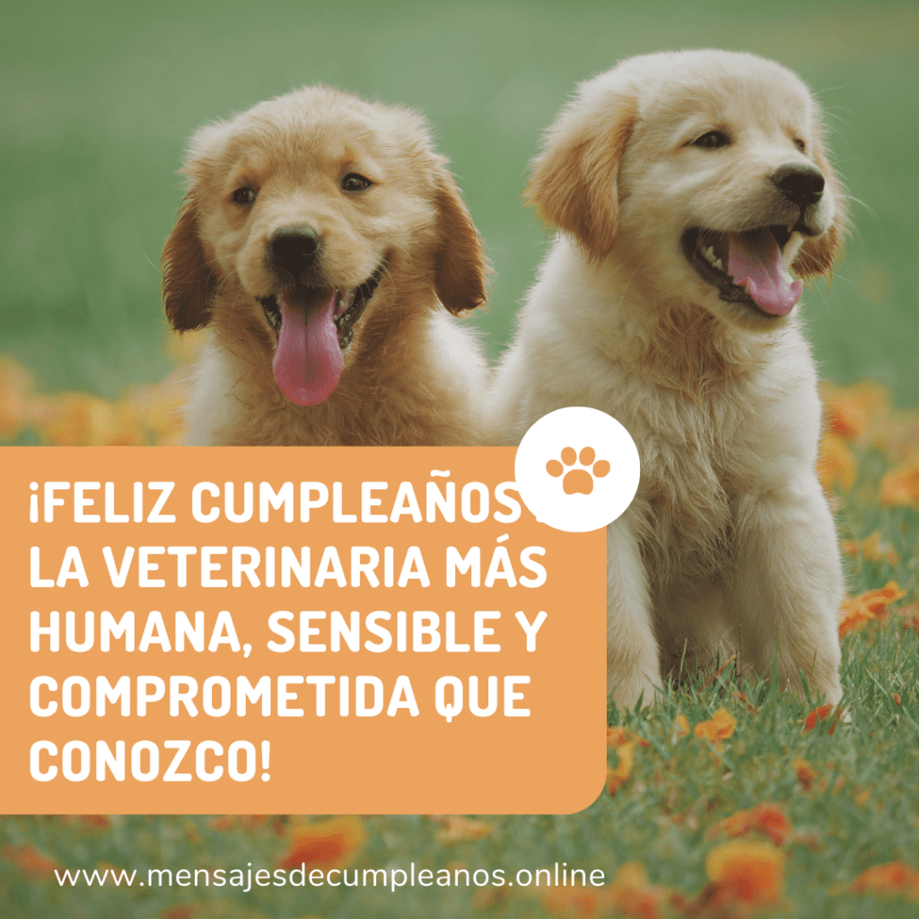 Dedicatorias de cumpleaños para una veterinaria